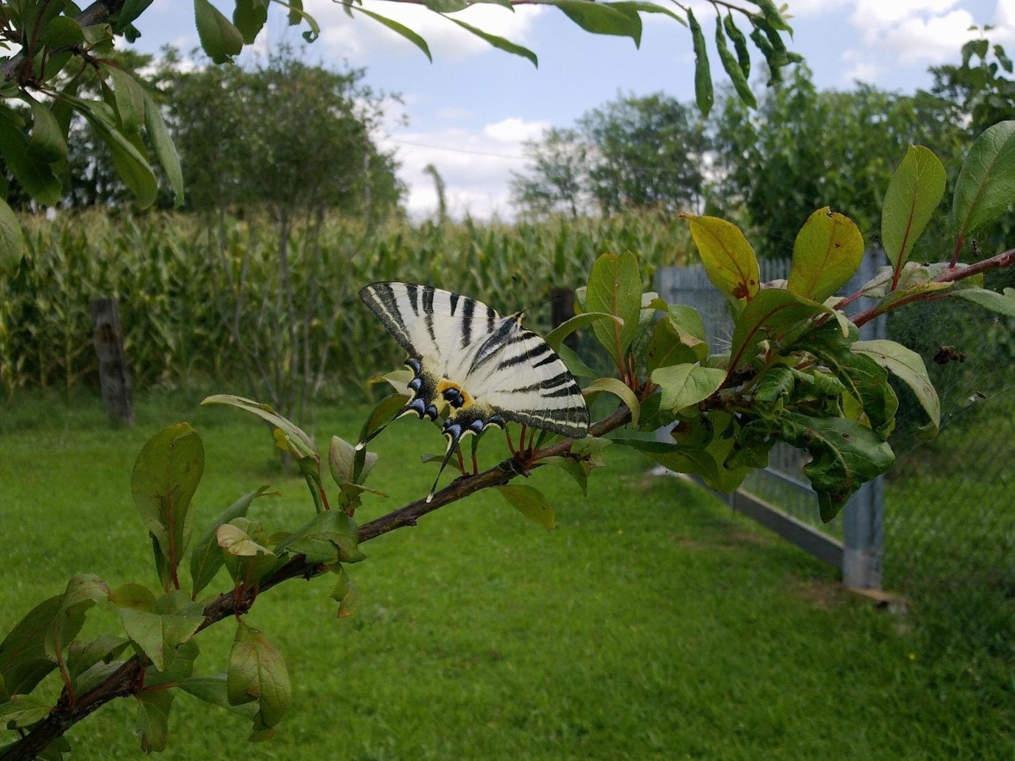 Pederobba B&B Terre Di Bea מראה חיצוני תמונה